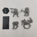 Citadel Chaos Champion Kaleb Daark Mounted and on Foot BC089