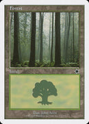 173-forest