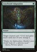 175-arachnoidadaptation