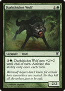 175-darkthicketwolf