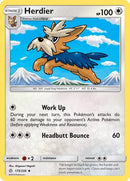 175-herdier