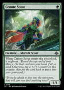 178-cenotescout
