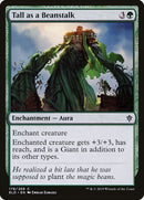 178-tallasabeanstalk
