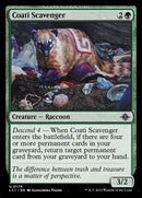 179-coatiscavenger