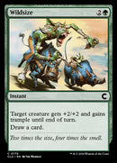 179-wildsize