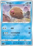 18-swinub
