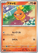 18-torchic