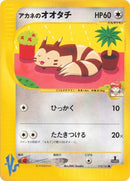 18-whitneysfurret