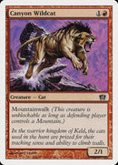 181-canyonwildcat