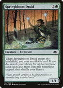 181-springbloomdruid