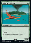 182-birdsofparadise