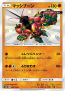 184-buzzwole
