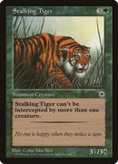 186-stalkingtiger