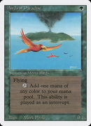 187-birdsofparadise