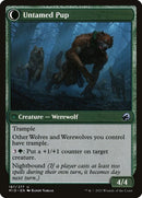 187-houndtameruntamedpup