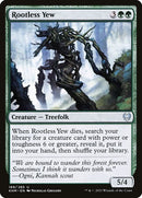 189-rootlessyew