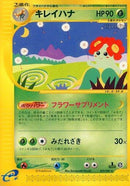 19-bellossom