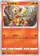 19-chimchar