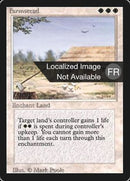 19-farmstead