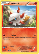 19-larvesta