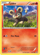19-litleo
