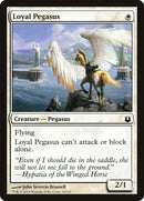 19-loyalpegasus