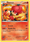 19-pansear