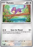 19-rattata