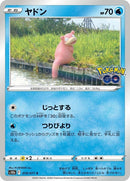 19-slowpoke