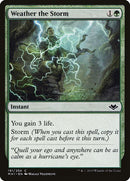 191-weatherthestorm