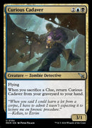 194-curiouscadaver
