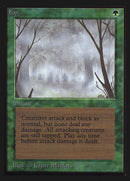 194-fog