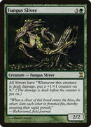 195-fungussliver