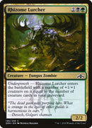 196-rhizomelurcher