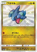 198-gible