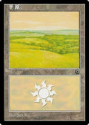 198s-plains
