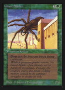 199-giantspider