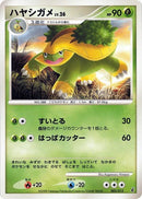 2-grotle