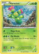 2-maractus
