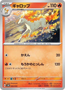 2-rapidash