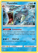 20-gyarados