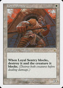 20-loyalsentry
