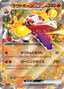 20-skeledirgeex
