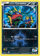 20-teamaquascarvanha