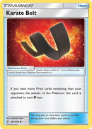 201-karatebelt