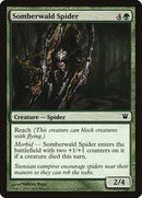 202-somberwaldspider