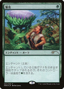 2022-2-wildgrowth