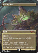 2023-lotusfield