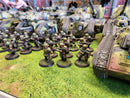 Warhammer 40k: Astra Militarum Army - Large, Painted! (ARMWC25050)