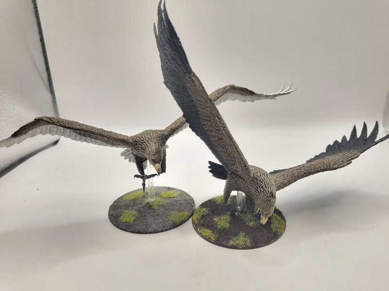 Middle Earth SBG Great Eagles  (AX024)